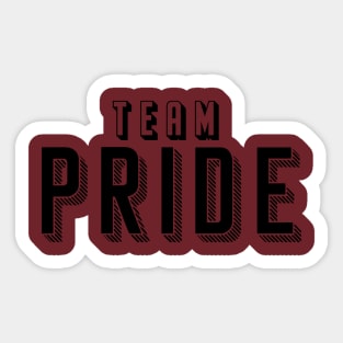 Team Pride Sticker